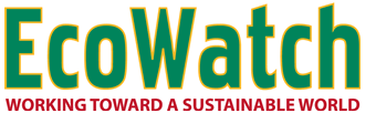 Environmentally friendy news reporter, EcoWatch, discusses how nitrogen tire inflation reduces our dependence on foreign oil and is a benefit to the environment by reducing carbon emissions.